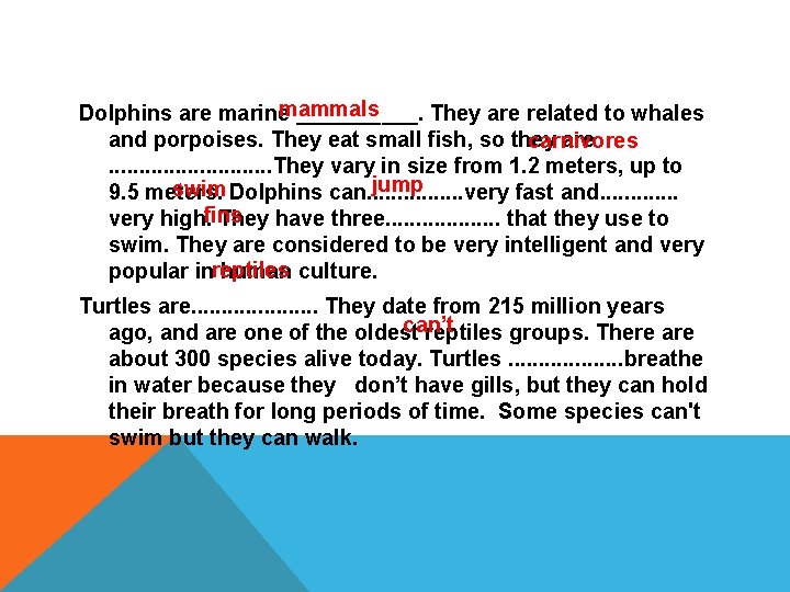 mammals Dolphins are marine _____. They are related to whales and porpoises. They eat