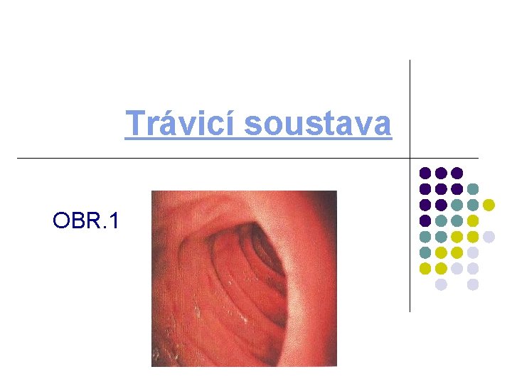 Trávicí soustava OBR. 1 