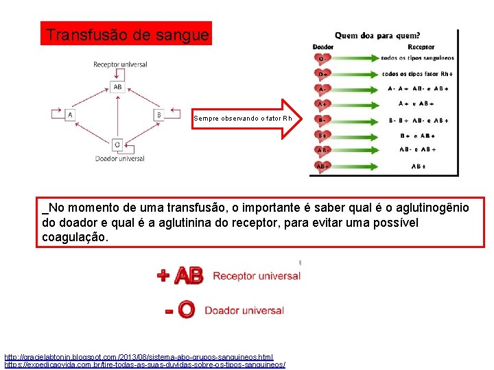 Transfusão de sangue Sempre observando o fator Rh _No momento de uma transfusão, o