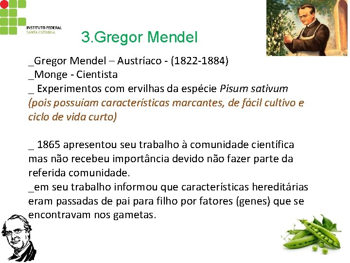 3. Gregor Mendel _Gregor Mendel – Austríaco - (1822 -1884) _Monge - Cientista _