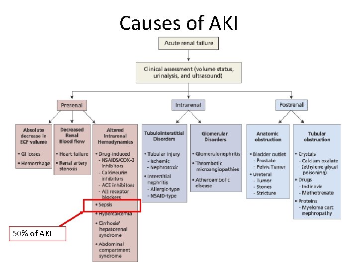 Causes of AKI 50% of AKI 