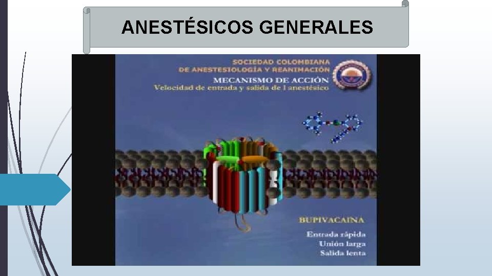 ANESTÉSICOS GENERALES ANESTÉSICOS GENERALES