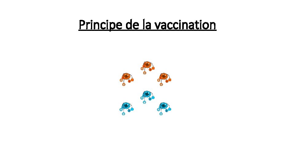 Principe de la vaccination 