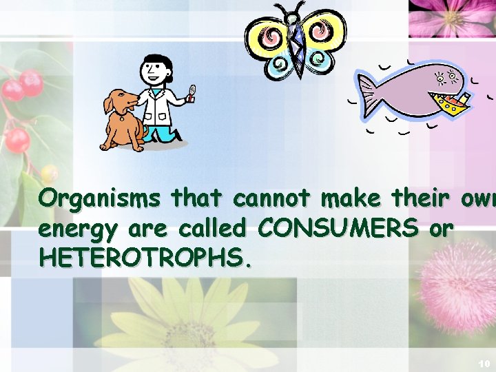 Organisms that cannot make their own energy are called CONSUMERS or HETEROTROPHS. 10 