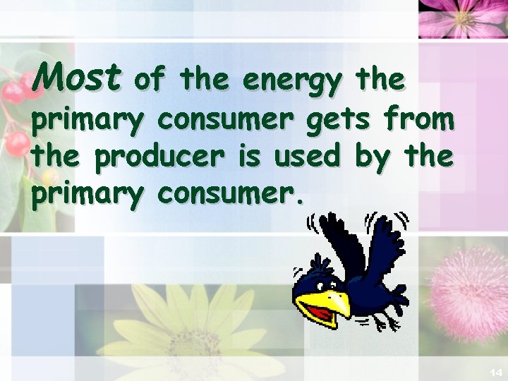 Most of the energy the primary consumer gets from the producer is used by