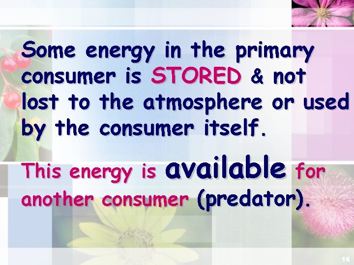 Some energy in the primary consumer is STORED & not lost to the atmosphere