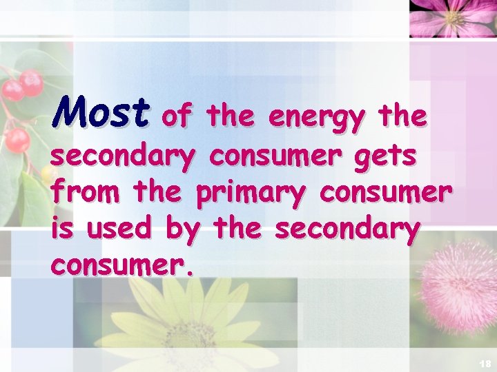 Most of the energy the secondary consumer gets from the primary consumer is used