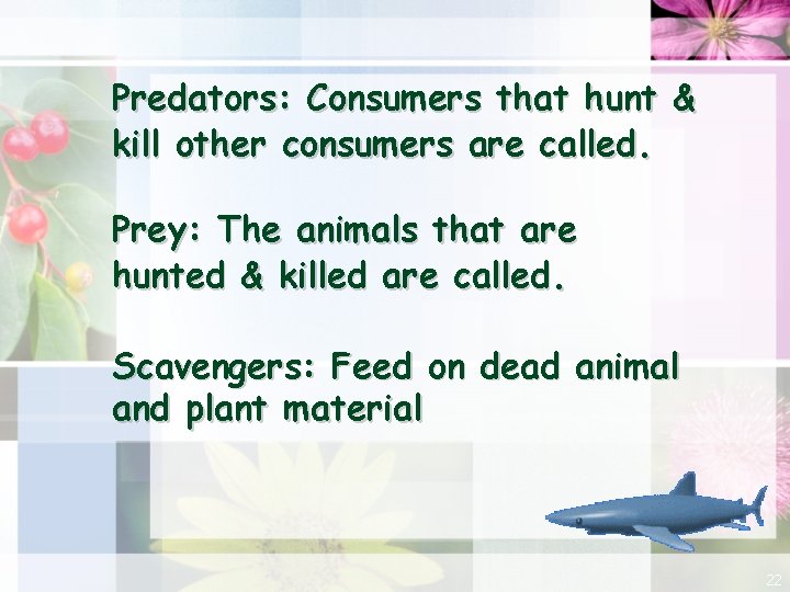 Predators: Consumers that hunt & kill other consumers are called. Prey: The animals that