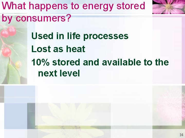 What happens to energy stored by consumers? Used in life processes Lost as heat