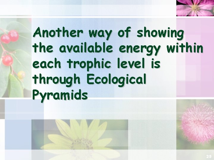 Another way of showing the available energy within each trophic level is through Ecological