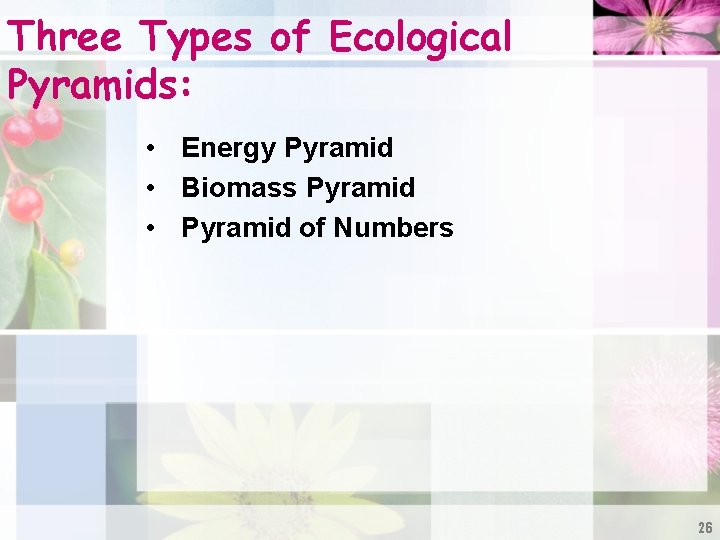 Three Types of Ecological Pyramids: • Energy Pyramid • Biomass Pyramid • Pyramid of