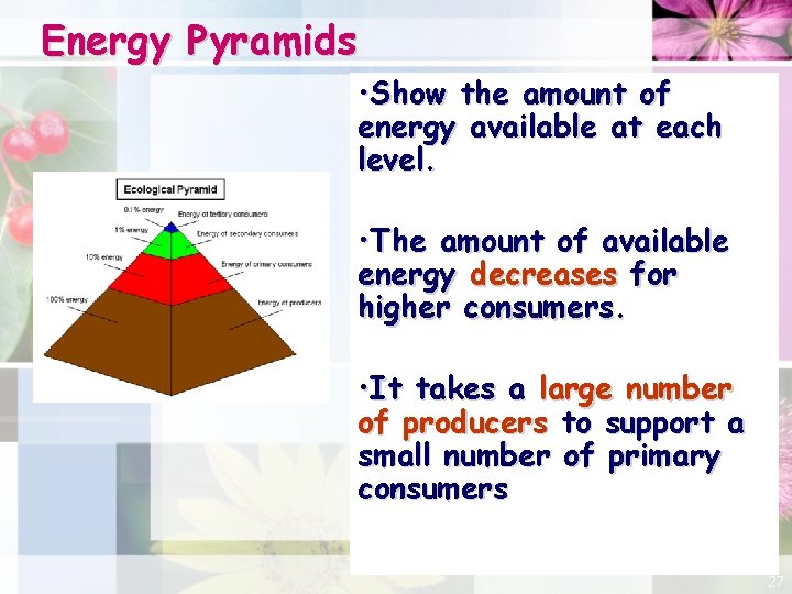 Energy Pyramids • Show the amount of energy available at each level. • The
