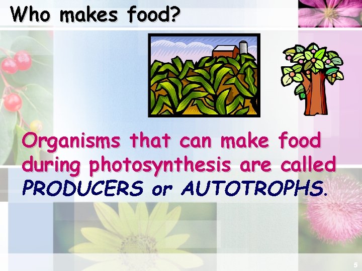 Who makes food? Organisms that can make food during photosynthesis are called PRODUCERS or