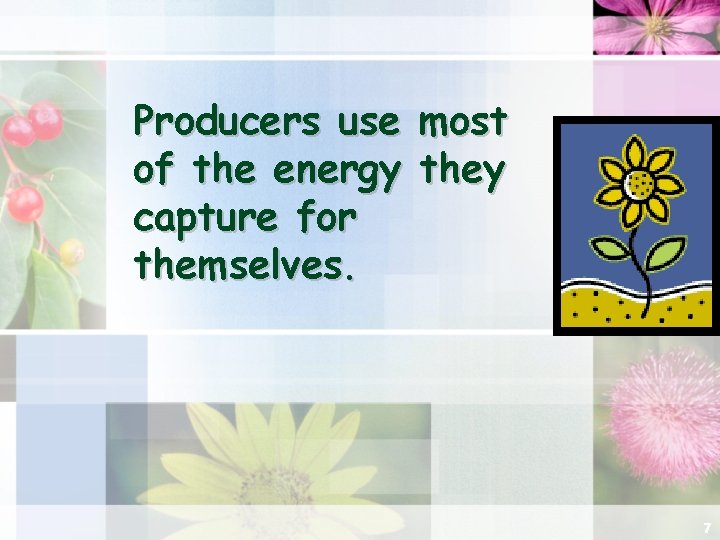 Producers use most of the energy they capture for themselves. 7 