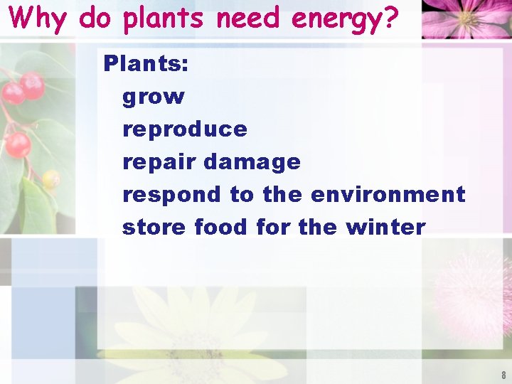 Why do plants need energy? Plants: grow reproduce repair damage respond to the environment