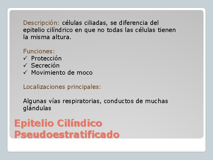 Descripción: células ciliadas, se diferencia del epitelio cilíndrico en que no todas las células