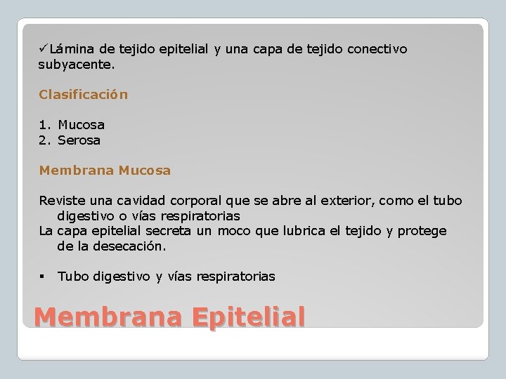 üLámina de tejido epitelial y una capa de tejido conectivo subyacente. Clasificación 1. Mucosa