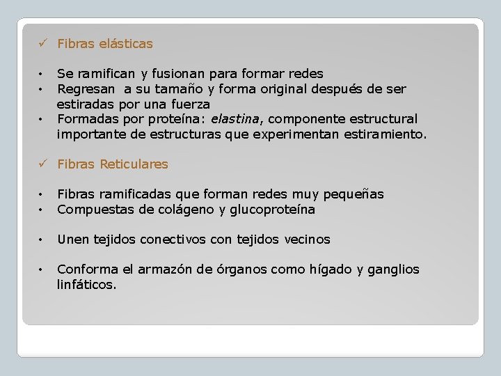 ü Fibras elásticas • • • Se ramifican y fusionan para formar redes Regresan