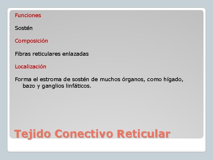 Funciones Sostén Composición Fibras reticulares enlazadas Localización Forma el estroma de sostén de muchos