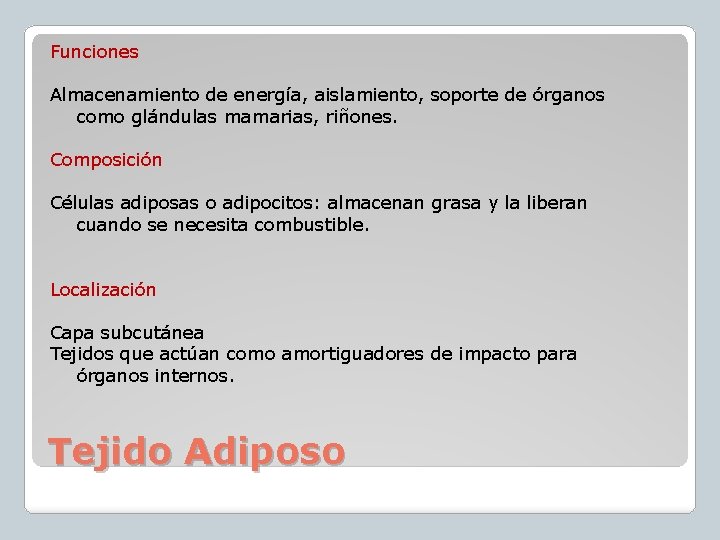 Funciones Almacenamiento de energía, aislamiento, soporte de órganos como glándulas mamarias, riñones. Composición Células