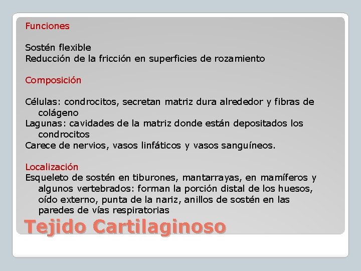 Funciones Sostén flexible Reducción de la fricción en superficies de rozamiento Composición Células: condrocitos,