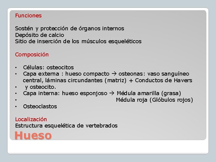 Funciones Sostén y protección de órganos internos Depósito de calcio Sitio de inserción de