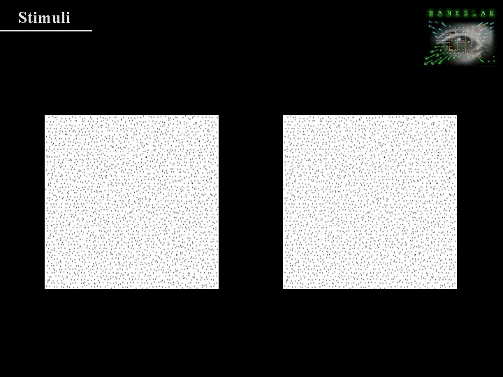Stimuli Stimuli