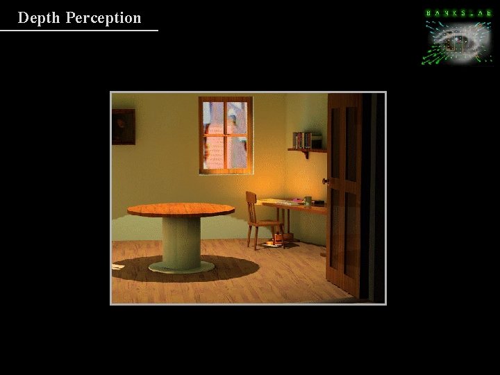Depth Perception Depth Perception