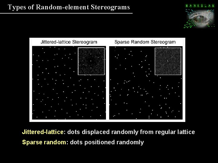 Types of Random-element Stereograms Jittered-lattice: dots displaced randomly from regular lattice Sparse random: dots Types of Random-element Stereograms Jittered-lattice: dots displaced randomly from regular lattice Sparse random: dots