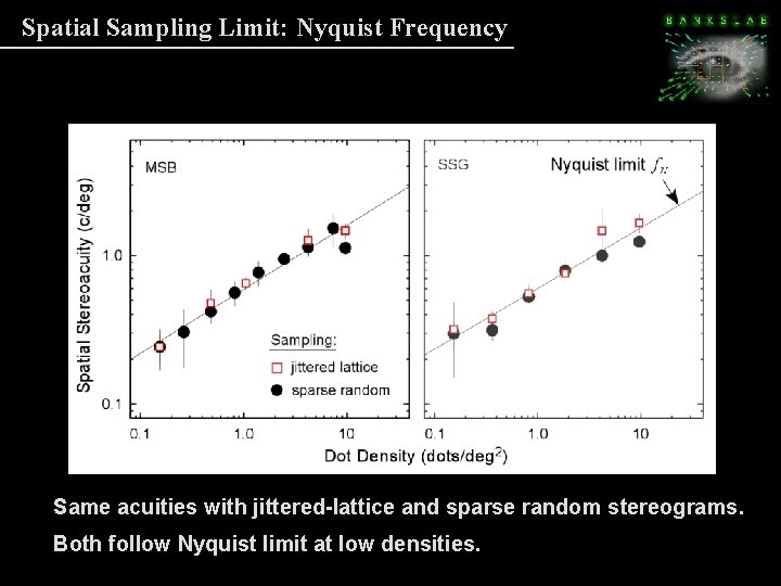 Spatial Sampling Limit: Nyquist Frequency Same acuities with jittered-lattice and sparse random stereograms. Both Spatial Sampling Limit: Nyquist Frequency Same acuities with jittered-lattice and sparse random stereograms. Both