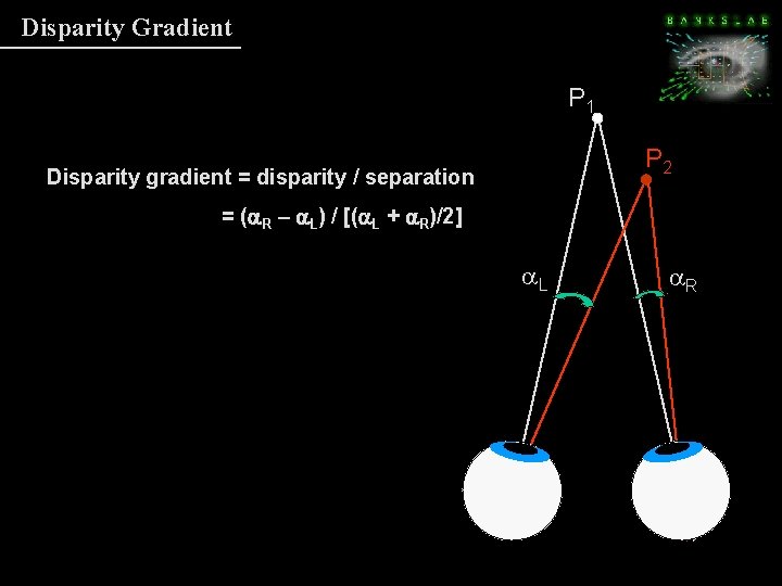 Disparity Gradient P 1 P 2 Disparity gradient = disparity / separation = (a. Disparity Gradient P 1 P 2 Disparity gradient = disparity / separation = (a.