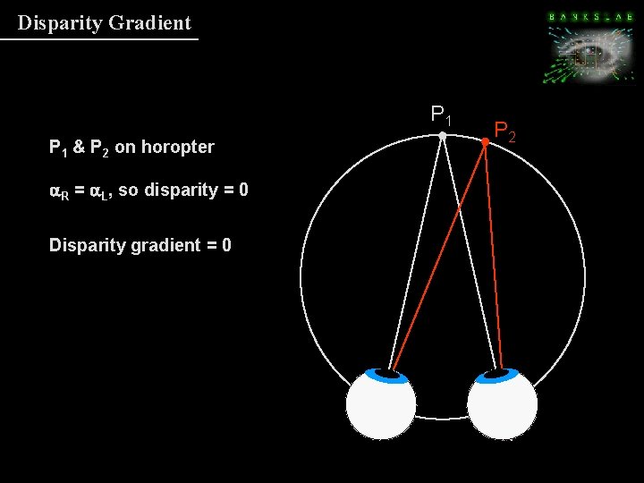 Disparity Gradient P 1 & P 2 on horopter a. R = a. L, Disparity Gradient P 1 & P 2 on horopter a. R = a. L,