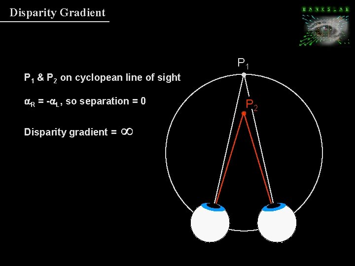 Disparity Gradient P 1 & P 2 on cyclopean line of sight a. R Disparity Gradient P 1 & P 2 on cyclopean line of sight a. R