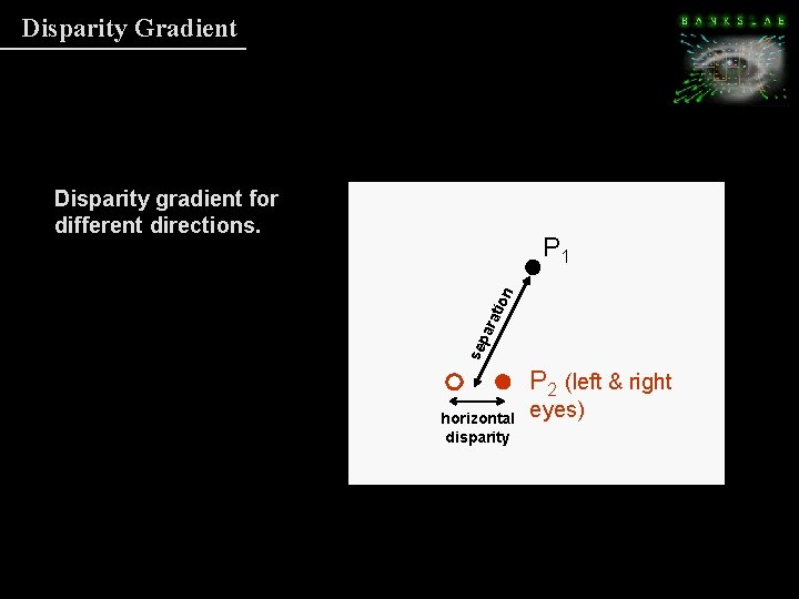 Disparity Gradient Disparity gradient for different directions. sep ara tio n P 1 P Disparity Gradient Disparity gradient for different directions. sep ara tio n P 1 P