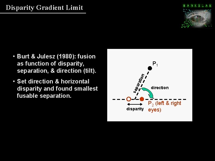 Disparity Gradient Limit • Burt & Julesz (1980): fusion as function of disparity, separation, Disparity Gradient Limit • Burt & Julesz (1980): fusion as function of disparity, separation,
