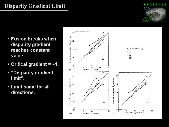 Disparity Gradient Limit • Fusion breaks when disparity gradient reaches constant value. • Critical Disparity Gradient Limit • Fusion breaks when disparity gradient reaches constant value. • Critical