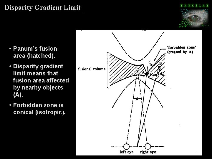 Disparity Gradient Limit • Panum’s fusion area (hatched). • Disparity gradient limit means that Disparity Gradient Limit • Panum’s fusion area (hatched). • Disparity gradient limit means that