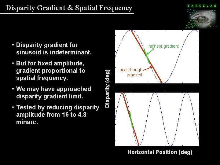 Disparity Gradient & Spatial Frequency • Disparity gradient for sinusoid is indeterminant. • We Disparity Gradient & Spatial Frequency • Disparity gradient for sinusoid is indeterminant. • We