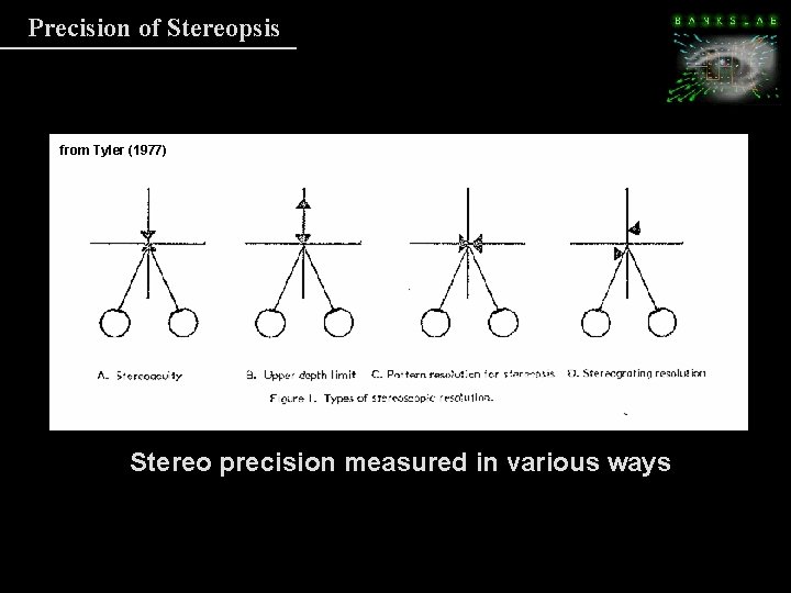 Precision of Stereopsis from Tyler (1977) Stereo precision measured in various ways A: Precision Precision of Stereopsis from Tyler (1977) Stereo precision measured in various ways A: Precision
