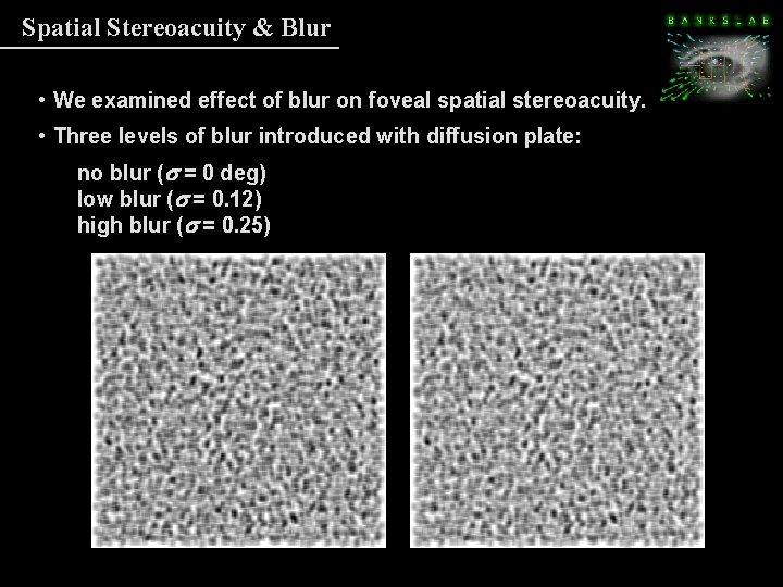 Spatial Stereoacuity & Blur • We examined effect of blur on foveal spatial stereoacuity. Spatial Stereoacuity & Blur • We examined effect of blur on foveal spatial stereoacuity.
