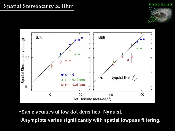 Spatial Stereoacuity & Blur • Same acuities at low dot densities; Nyquist. • Asymptote Spatial Stereoacuity & Blur • Same acuities at low dot densities; Nyquist. • Asymptote