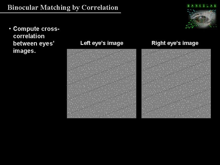 Binocular Matching by Correlation • Compute crosscorrelation between eyes’ images. • Window in left Binocular Matching by Correlation • Compute crosscorrelation between eyes’ images. • Window in left