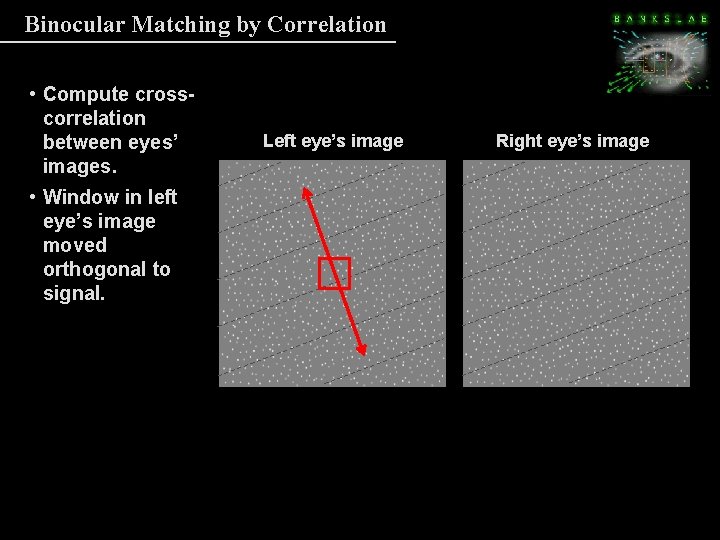 Binocular Matching by Correlation • Compute crosscorrelation between eyes’ images. • Window in left Binocular Matching by Correlation • Compute crosscorrelation between eyes’ images. • Window in left