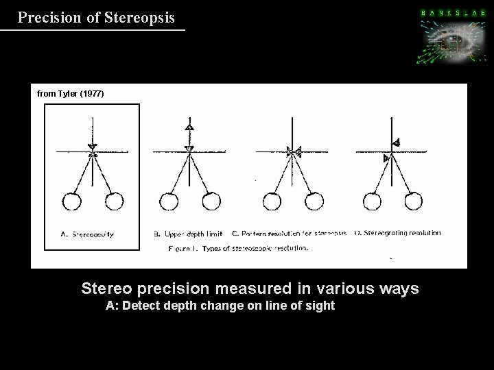 Precision of Stereopsis from Tyler (1977) Stereo precision measured in various ways A: Detect Precision of Stereopsis from Tyler (1977) Stereo precision measured in various ways A: Detect