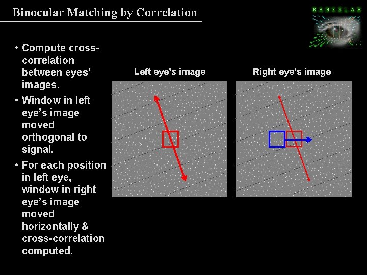 Binocular Matching by Correlation • Compute crosscorrelation between eyes’ images. • Window in left Binocular Matching by Correlation • Compute crosscorrelation between eyes’ images. • Window in left