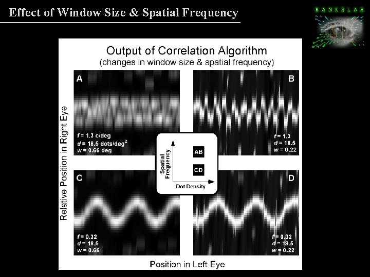 Effect of Window Size & Spatial Frequency Effect of Window Size & Spatial Frequency