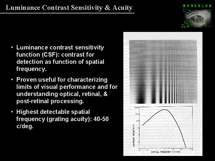 Luminance Contrast Sensitivity & Acuity • Luminance contrast sensitivity function (CSF): contrast for detection Luminance Contrast Sensitivity & Acuity • Luminance contrast sensitivity function (CSF): contrast for detection