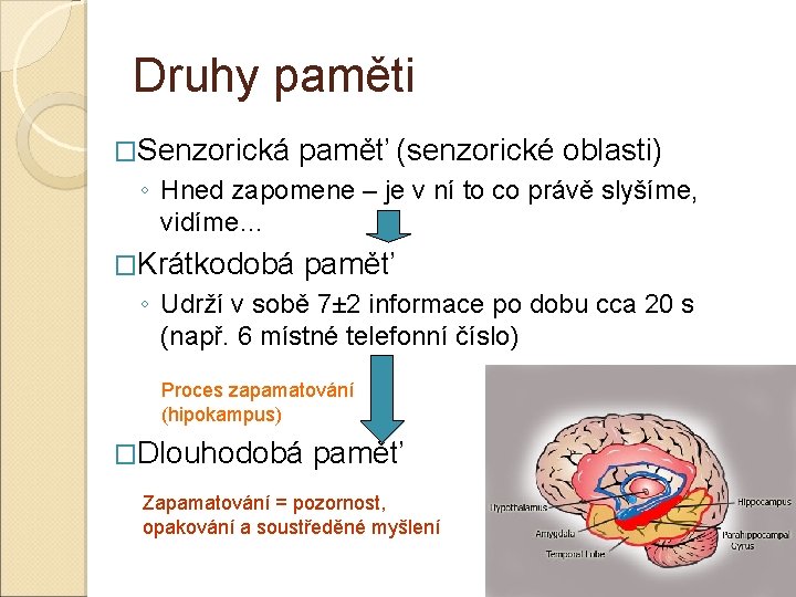 Druhy paměti �Senzorická paměť (senzorické oblasti) ◦ Hned zapomene – je v ní to