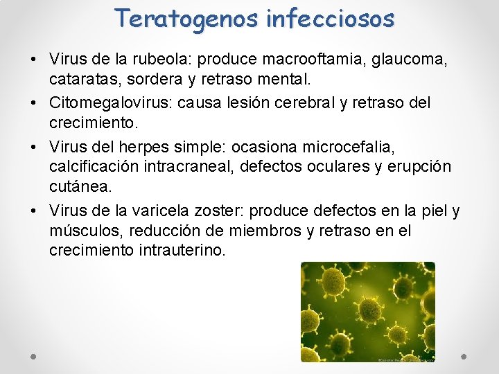 Teratogenos infecciosos • Virus de la rubeola: produce macrooftamia, glaucoma, cataratas, sordera y retraso Teratogenos infecciosos • Virus de la rubeola: produce macrooftamia, glaucoma, cataratas, sordera y retraso