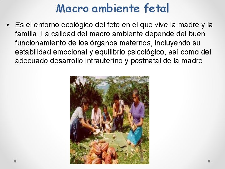 Macro ambiente fetal • Es el entorno ecológico del feto en el que vive Macro ambiente fetal • Es el entorno ecológico del feto en el que vive